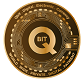 Q Ordinary Coin